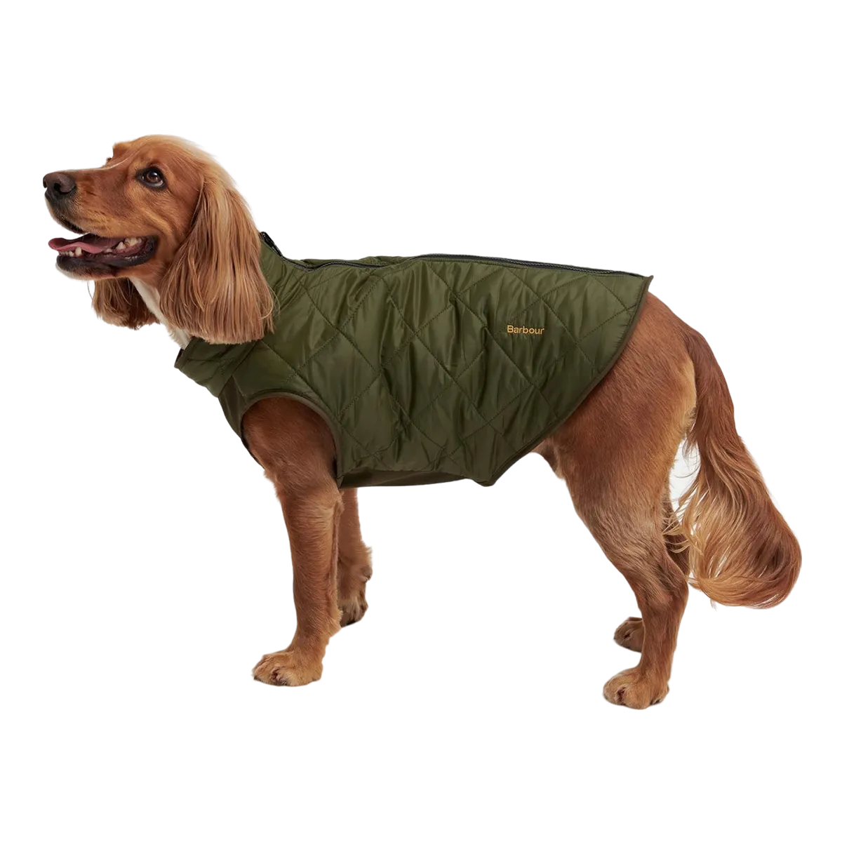 Barbour Reversible Quilted Dog Coat