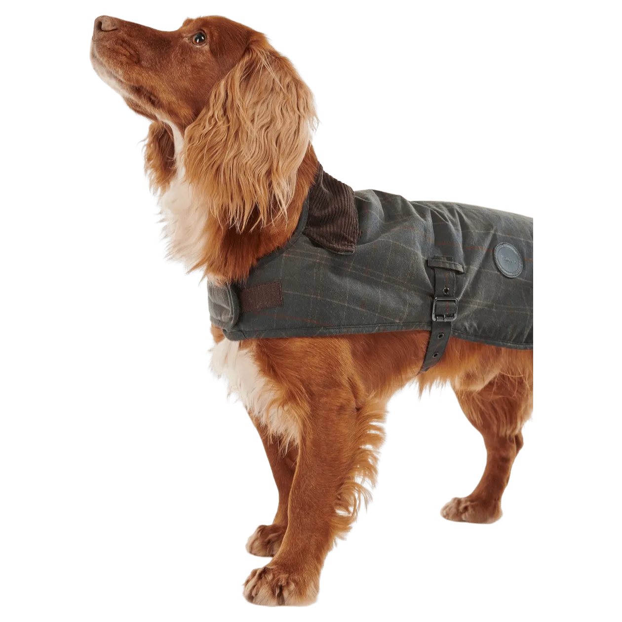 Barbour Tartan Wax Dog Coat