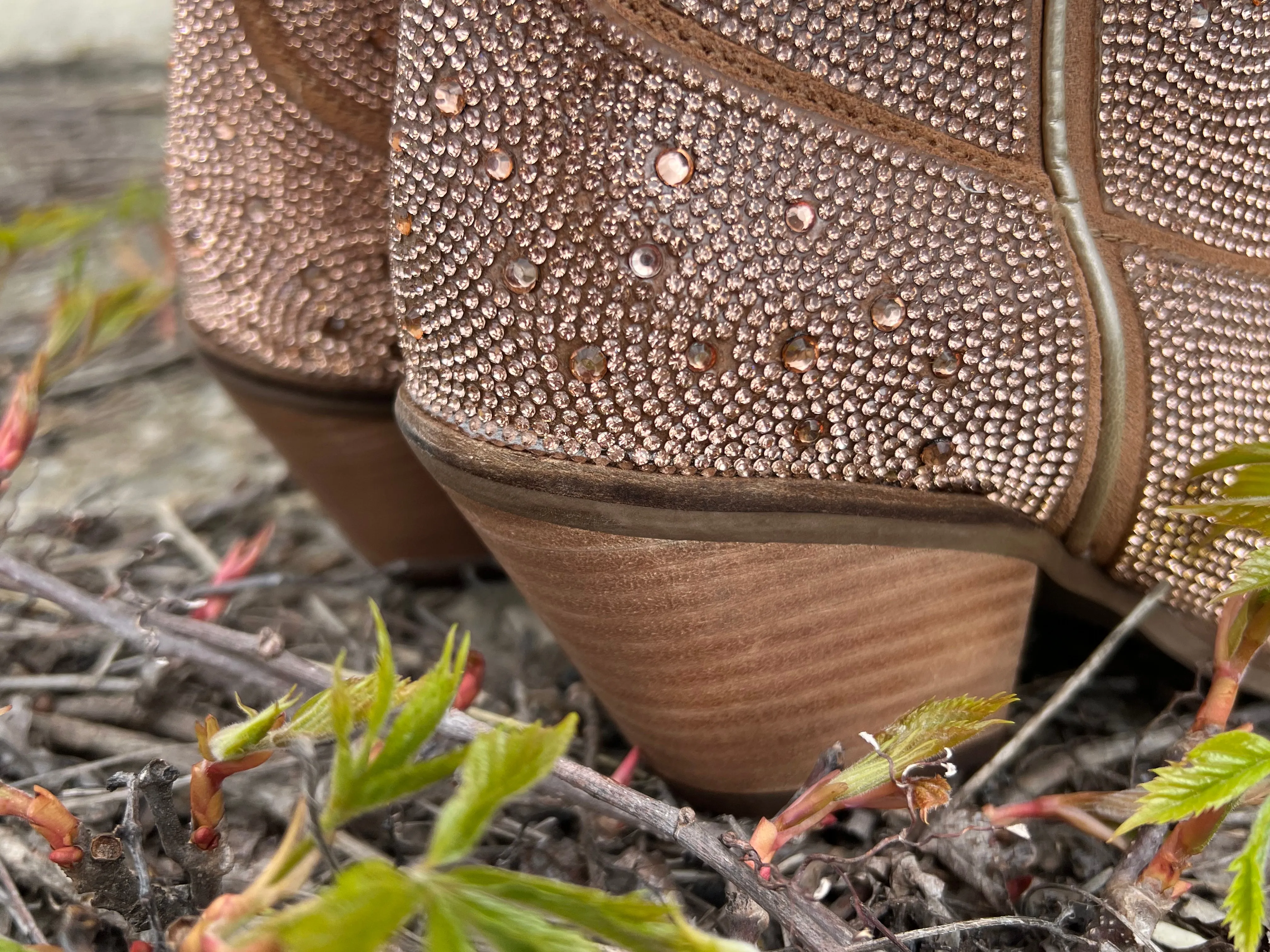 Dingo Women's Rose Gold Rhinestone Cowgirl Ankle Booties DI577-RG