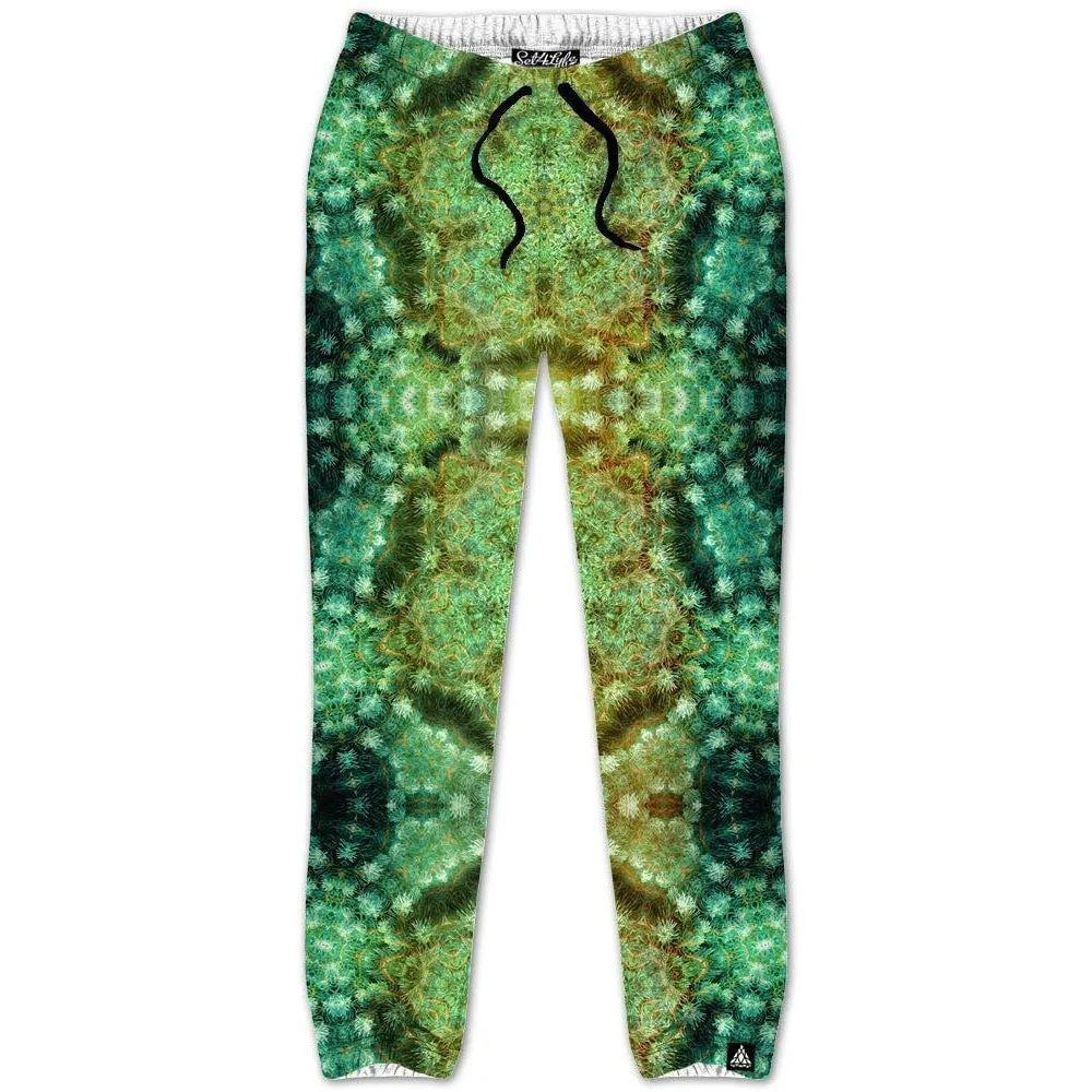 FIR VORTEX JOGGERS