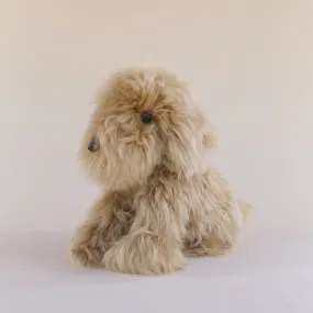 Toy Dog - Suri - Medium